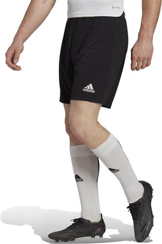 ADIDAS Herren Teamhose ENT22 SHO L in Schwarz