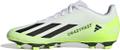 ADIDAS Herren Fussball-Rasenschuhe X CRAZYFAST.4 FxG 43 ⅓ in Grau