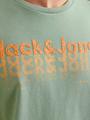 JJTEX TEE SS CREW NECK L Normal geschnitten - Iceberg Green