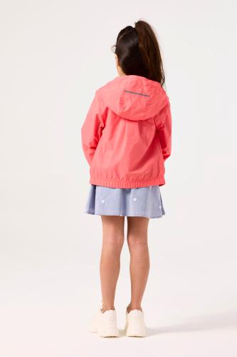 GJ540202 92/98 - Sweet Pepper