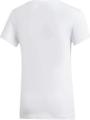 ADIDAS Kinder T-Shirt Squad 152 in Grau
