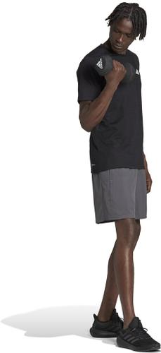 ADIDAS Herren Shorts TR-ES WV SHO XXL in Grau