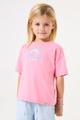 C54601 Rosa 116/122
