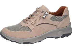 WALLI TORRIX WALLI ORDER