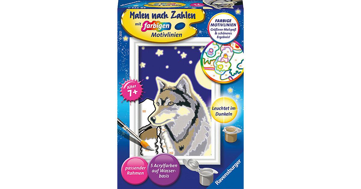 Malen nach Zahlen - Wolfsportrait