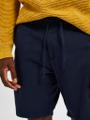 SLHREGULAR-BRODY LINEN SHORTS NOOS Blau L