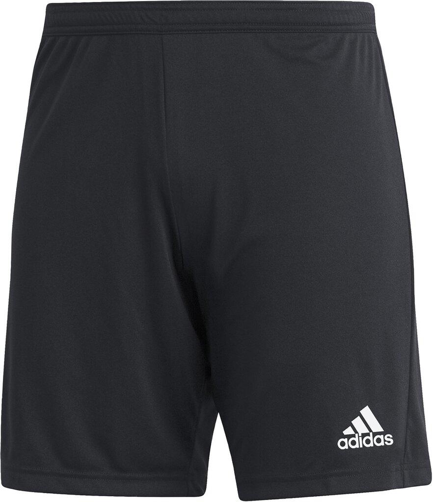 ADIDAS Herren Teamhose ENT22 SHO L in Schwarz