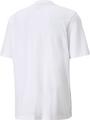PUMA Herren Shirt NU-TILITY Graphic M in Grau