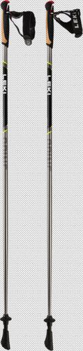 LEKI Nordic Walkingstöcke Nordic Walking Stöcke Spine Shark 125 in Grau