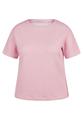 Powder Rose 40 - Mandelbluete
