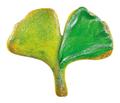 STÄDTER STÄDTER Ausstechform Ginkgoblatt »Blumen«