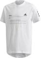 adidas Jungen Must Haves T-Shirt 116 in Grau