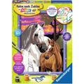 Ravensburger Spiel - Malen nach Zahlen mit farbigen Motivlinien - Pferde im Sonnenuntergang