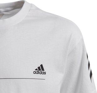 adidas Jungen Must Haves T-Shirt 116 in Grau