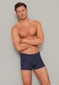 Shorts 4 - Blau