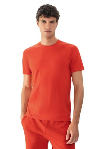 T-Shirt XXL