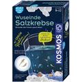 KOSMOS - FunScience - Wuselnde Salzkrebse