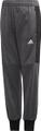 ADIDAS Kinder Sporthose P WRM 164 in Grau
