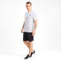 PUMA Herren T-Shirt Evostripe Tee M in Pink