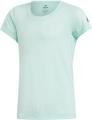ADIDAS Kinder Trainingsshirt Training Prime 116 in Grün