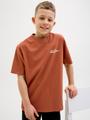 JORPAROS ELEMENT BACK TEE SS CREW JNR 152 Locker geschnitten - Arabian Spice