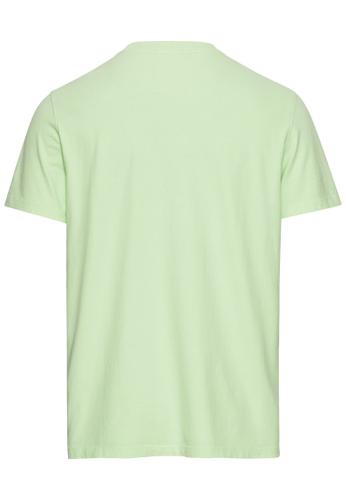 Jersey T-Shirt aus nachhaltigem Organic Cotton M Regular Fit - Pistacchio