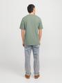 JJTEX TEE SS CREW NECK L Normal geschnitten - Iceberg Green