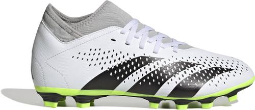 ADIDAS Herren Fussball-Rasenschuhe PREDATOR ACCURACY.4 S FxG 47 ⅓ in Grau