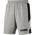 PUMA Herren Shorts Rebel Shorts 9` TR L in Grau