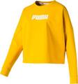 PUMA Damen Sweatshirt NU-TILITY Cropped Crew Sweat M in Gold