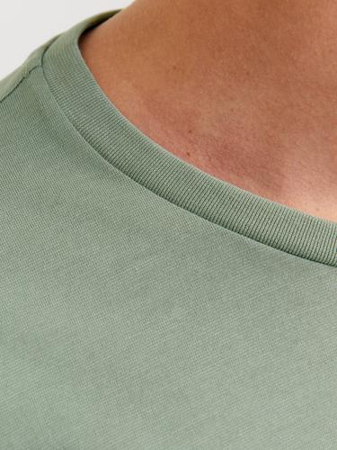 JJTEX TEE SS CREW NECK L Normal geschnitten - Iceberg Green