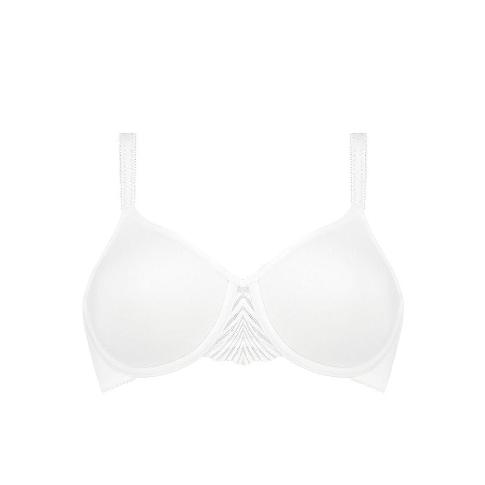 My Perfect Shaper WP