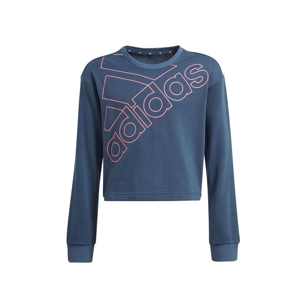 adidas Essentials Logo Graphics Sweatshirt Mädchen