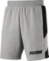PUMA Herren Shorts Rebel Shorts 9` TR L in Grau