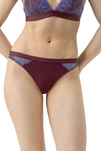 Brasil S - Boysenberry