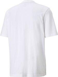 PUMA Herren Shirt NU-TILITY Graphic M in Grau