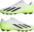 ADIDAS Herren Fussball-Rasenschuhe X CRAZYFAST.4 FxG 43 ⅓ in Grau